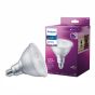 LED Lightbulb - Bright White - PAR38 - 13 W