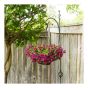 Shepherd Hook - Venetian Model - 64" - Black