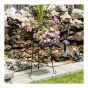 Round Support for Indoor or Outdoor Plant - 21" x 10" - Black
