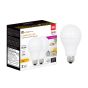 Ampoules DEL, A21, 150 W, blanc doux, 2/pqt