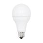 LED Bulbs - A21 - 150 W - Daylight - 2/Pkg