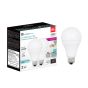 LED Bulbs - A21 - 150 W - Daylight - 2/Pkg