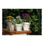 Standard Granite Planter - White - 12 cm