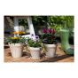 Standard Granite Planter - White - 12 cm