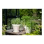 Standard Granite Planter - White - 12 cm