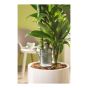 Decorative Water Reserve - Nelly Style - Plastic - 16 cm - Grey