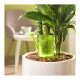 Decorative Water Reserve - Nelly Style - Plastic - 16 cm - Green