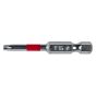 Embout de tournevis, à 6 lobes, T40, 1 3/4", 2/pqt
