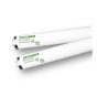 Fluorescent Tube - T12 - Daylight - 40 W - 48" - 2/Pkg
