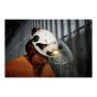 BOLT REDLITHIUM USB Headlamp - 600 Lumens