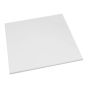 Plastic Roll - 100 mil x 4' x 8' - White