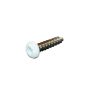 Vis, acier inoxydable, #8 x 3/4", blanc, 500/pqt