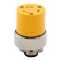 Armoured Socket With Clamp - 125 V