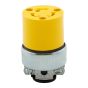 Connecteur verrouillable, 15A/125V