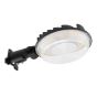 Luminaire sentinelle à DEL, noir, 100-277 V, 60 W
