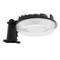 Luminaire sentinelle à DEL, noir, 100-277 V, 60 W
