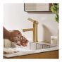 Sink Faucet – Beric - Single Hand- Bronzed Gold