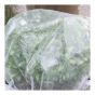 Insect Netting – White – 1.4 m x 10 m