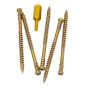 RT Composite Trim Screws - #8 x 2" - 100/Pkg