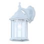 Applique murale extérieure DEL DANE, verre transparent, blanc, 6-1/4 po x 12 po x 8 po