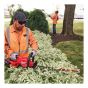Hedge Trimmer – M18 FUEL - 24"