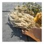 Dalle, Versa 2.0, charbon, 19 1/4'' x 8 1/2'' x 2''