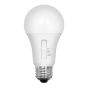 Ampoule DEL A19, 5 W, 5 couleurs