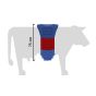 Oscillating Cow Brush - FlexiSwing - Spring-Mounted