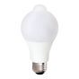 Ampoule DEL A19, détecteur de mouvement, 9 W, 3000K, blanc doux
