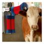 Automatic Cattle Brush - 2 Brush - 220 V