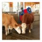 Automatic Cattle Brush - 2 Brush - 220 V