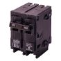 Two Pole Breaker - 100 A