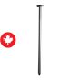 Clous communs brillants, 1", 650/pqt