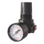 HVLP mini regulator