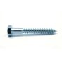Hex Head Bolts with Washer, Coarse Thread, Lag Point - Zinc - 10" - 2/Pkg