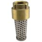 Foot valve