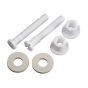 Toilet seat hinge bolts