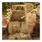Hay Fork - 3 Teeth 12" - Forged Steel - Handle 54"