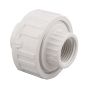 Buna Union Ring - 2" - White