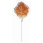 Lollipop sticks