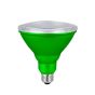 LED Lightbulb - PAR38 - Green - 7 W