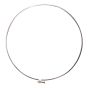 Collier de fixation 2100, 8"