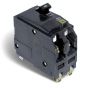Two Pole Breaker - 60 A