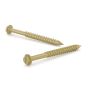 Concrete Screw with Gold Seal Coating - Hexagonal Head with Washer - 1/4" x 3 1/4" - 6/Pkg
