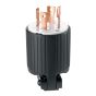 Fiche verrouillable NEMA L14-30P