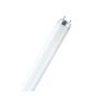 Fluorescent Tube - T8