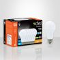 Ampoule DEL, A19, 17 W, 6/pqt