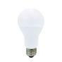 Ampoule DEL, A19, lumière du jour, 17 W, 6/pqt