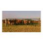 Heavy-Duty Farm Gate - 14-Gauge - Green