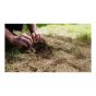Destructeur de vers blancs GRUB BGON MAX, 1,4 kg